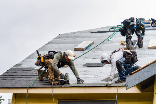 Professional Gutter Installation technician working in Omaha, TX